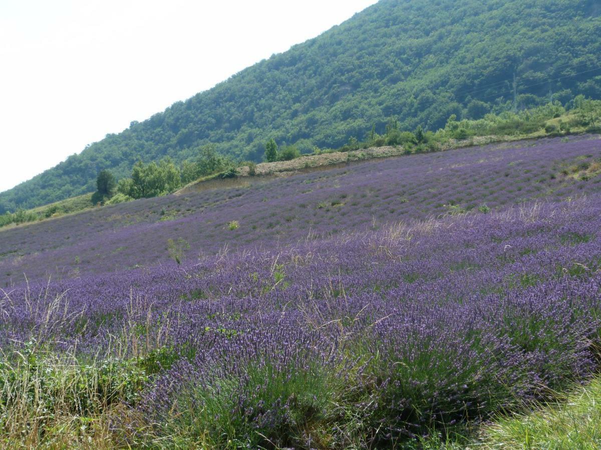 La Clairiere Pierrelongue Exterior foto